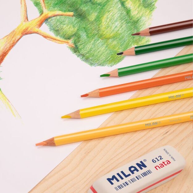Spalvinimo pieštukai   6 spalvų „231 Milan“