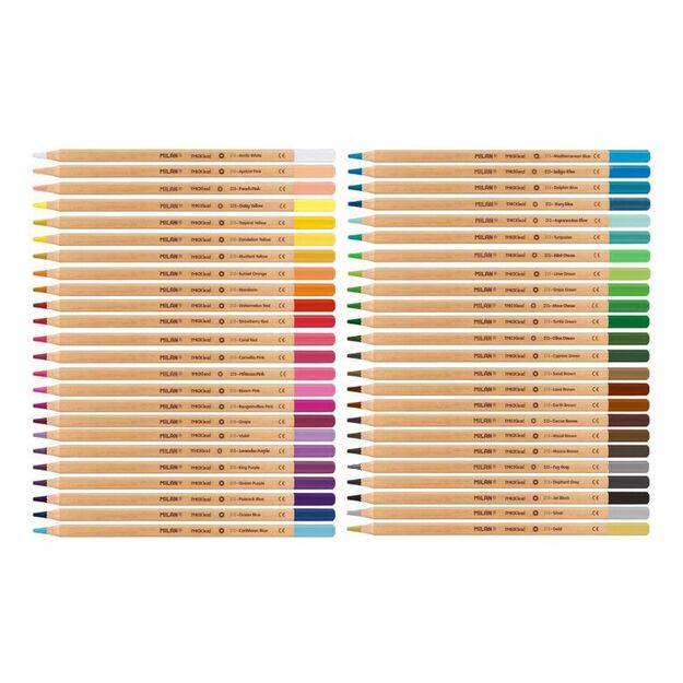 Spalvinimo pieštukai 48 spalvų „213“ metal.dėž